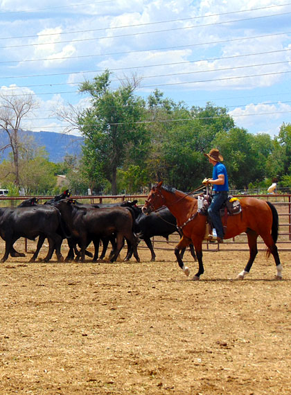 lazy l ranch aaron lass lazy l ranch aaron lass